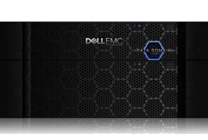 data domain 6300