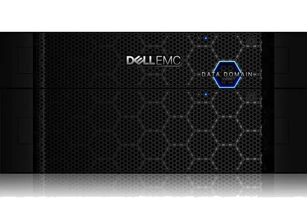 data domain 6300